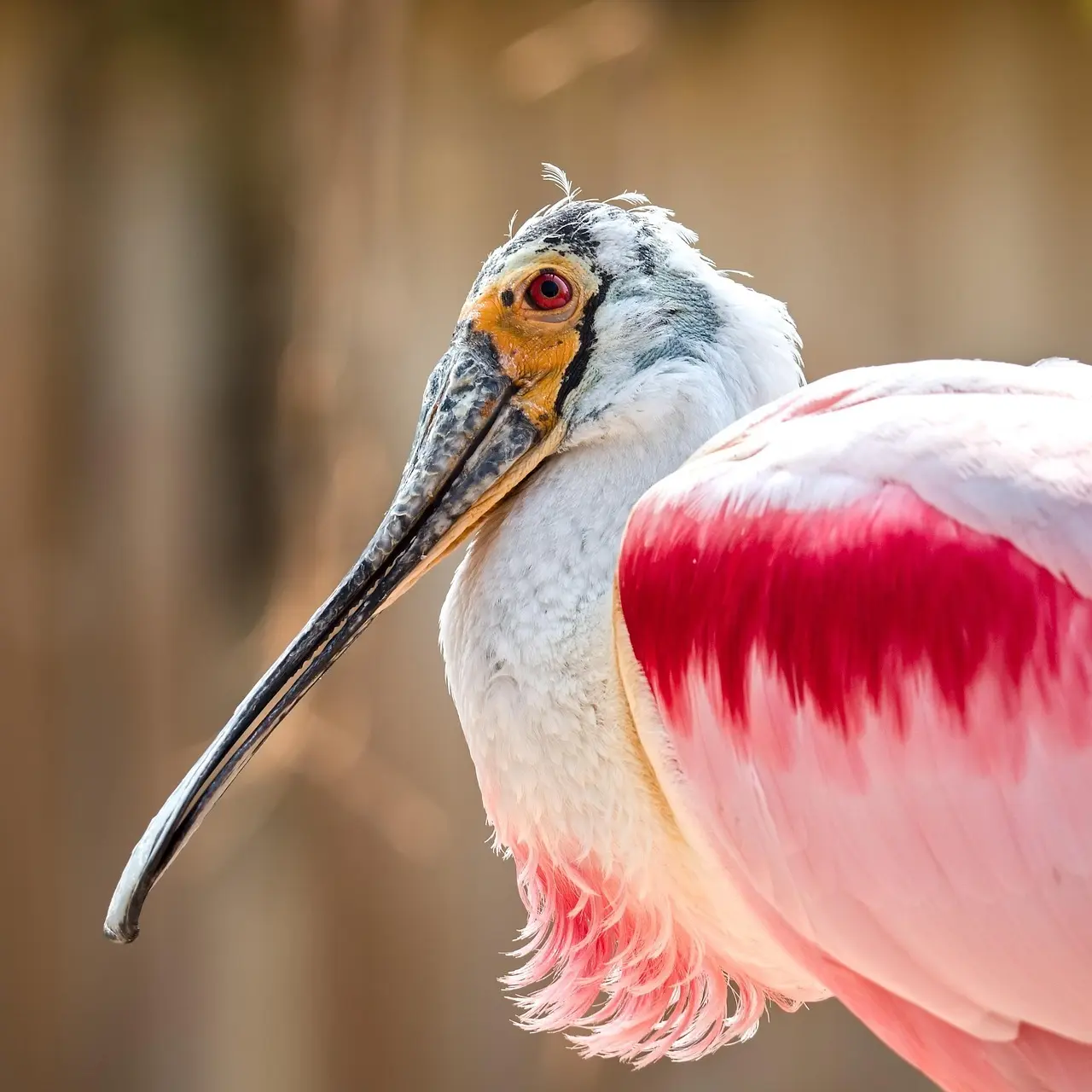 Billig og bæredygtig familiehverdag: 20 vaner der sparer penge og skåner planeten